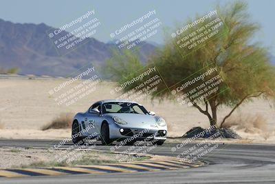 media/Oct-18-2025-PCA San Diego (Sat) [[653db1c827]]/3-Orange/Session 3 Turn 4 Tree of Life/